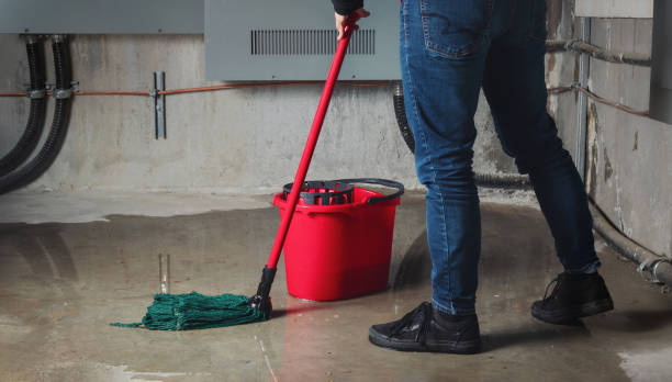 Best Carpet water damage restoration  in Tiptonville, TN