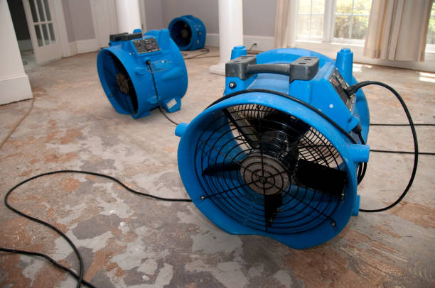 Best Water damage restoration near me  in Tiptonville, TN