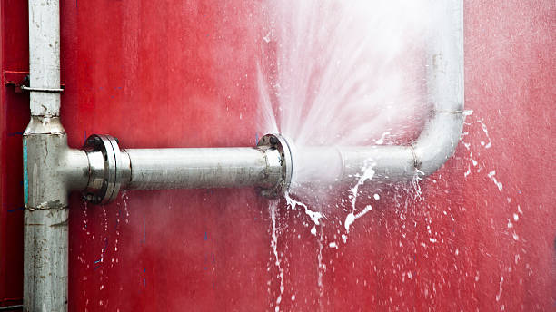  Tiptonville, TN Water damage restoration Pros