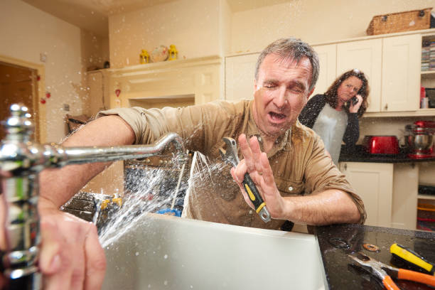 Best Ceiling water damage repair  in Tiptonville, TN